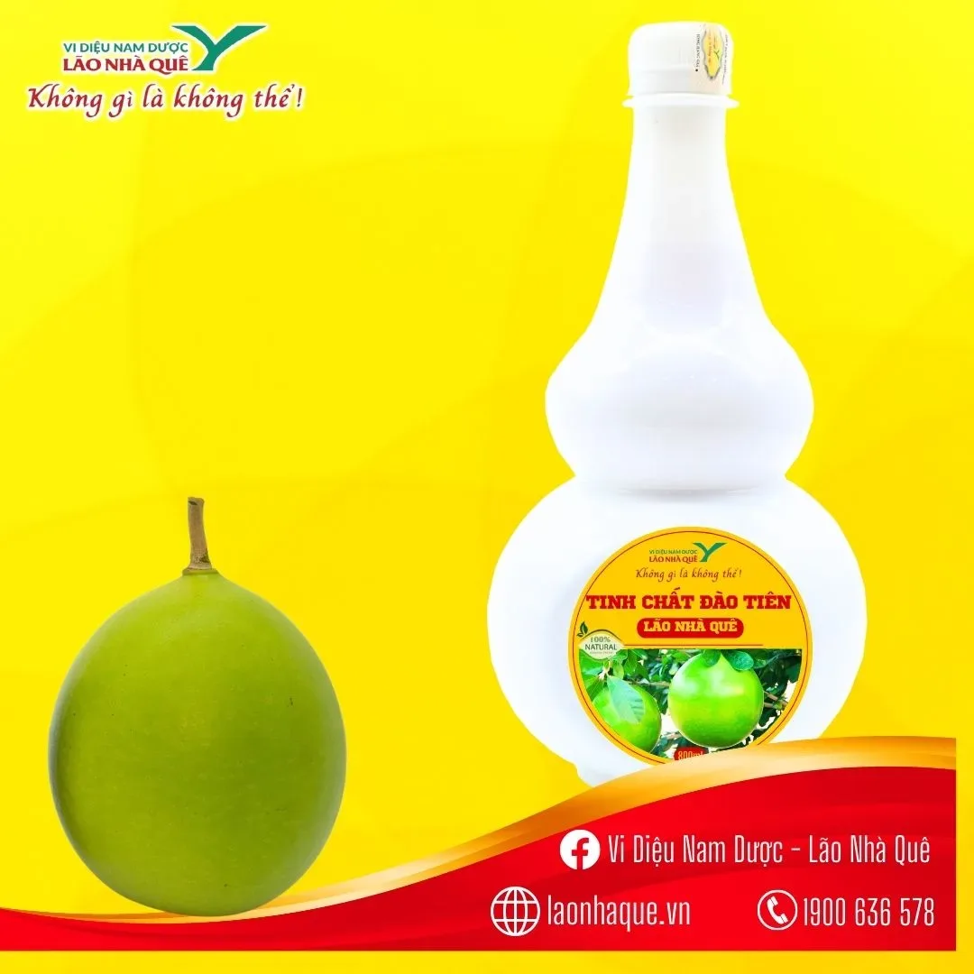 đ&agrave;o ti&ecirc;n, tinh chất đ&agrave;o ti&ecirc;n, l&atilde;o nh&agrave; qu&ecirc;