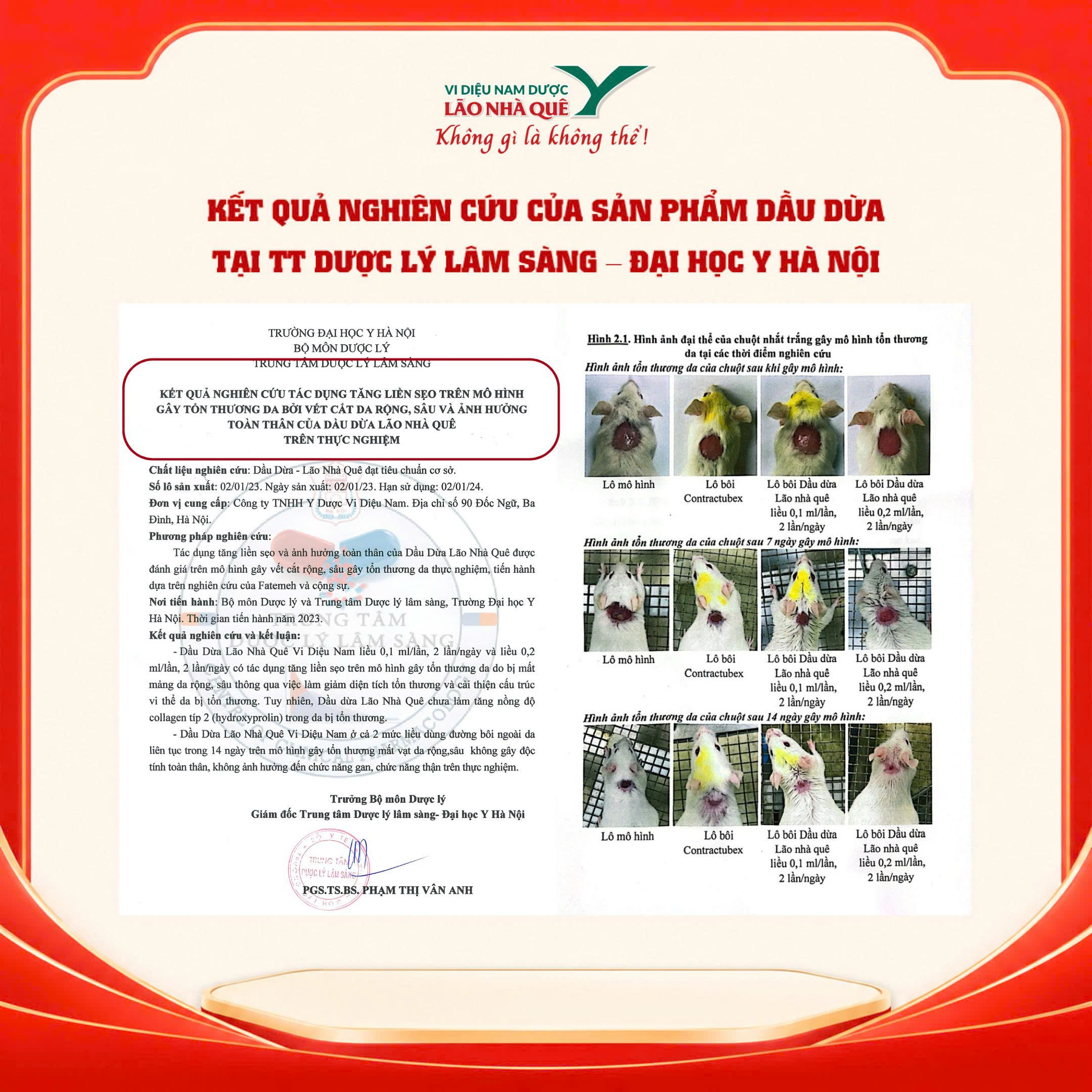 Mô hình liền sẹo tổn thương da