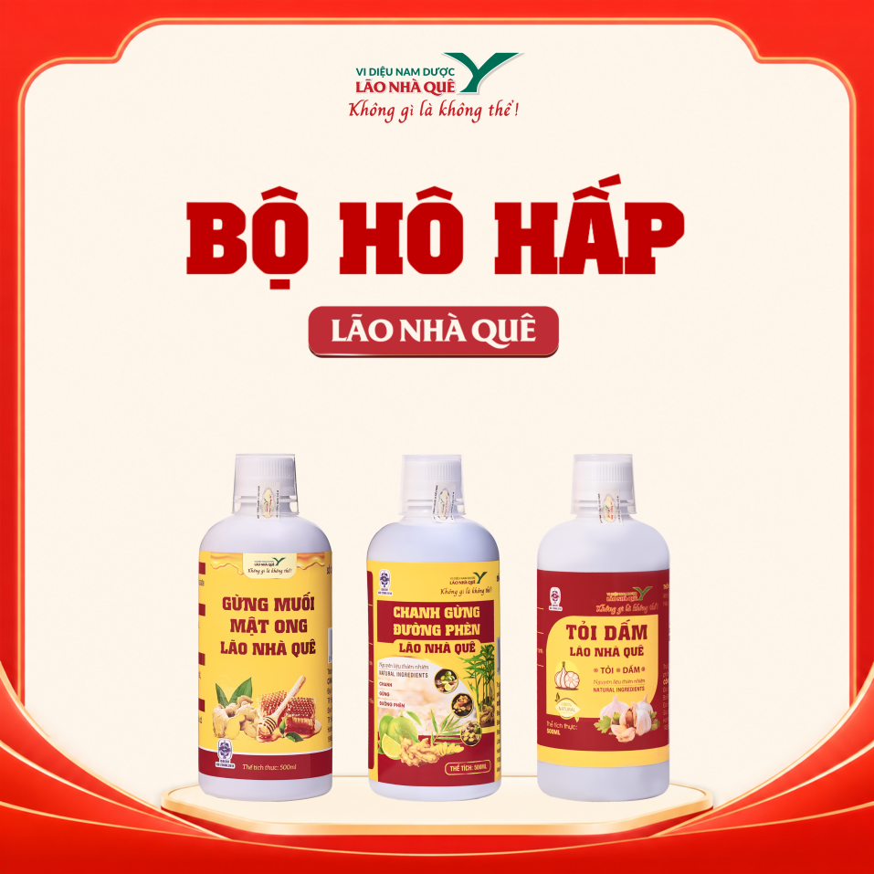 BỘ HÔ HẤP 322