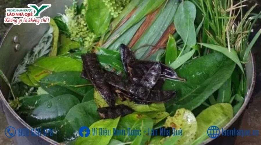 CẢM NHẬP TÂM