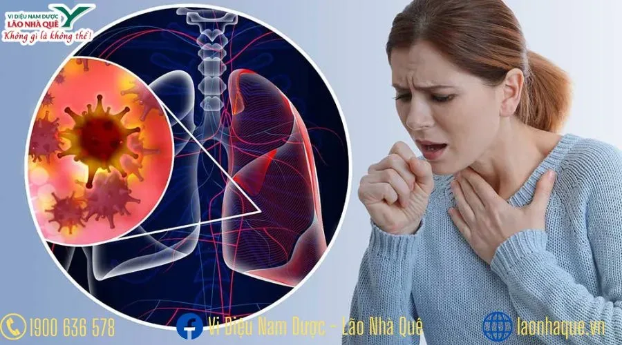 LÃO NHÀ QUÊ CHỮA BỆNH UNG THƯ