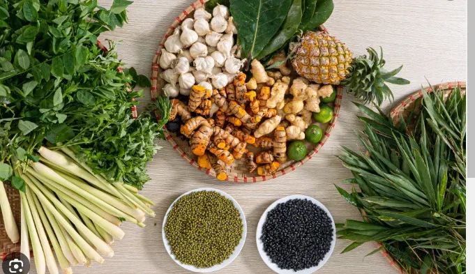 NGUYÊN TẮC CHẾ BIẾN THUỐC ĐÔNG Y CỦA NGƯỜI XƯA