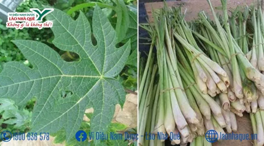U XƠ TUYẾN VÚ, UNG THƯ VÒM HỌNG, UNG BƯỚU DI CĂN CÁC LOẠI