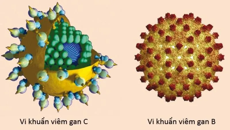 Lão nhà quê và bài viêm gan B, viêm gan C vi diệu cho mọi người