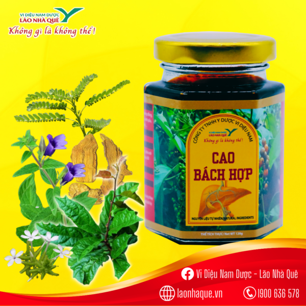 cao bách hợp