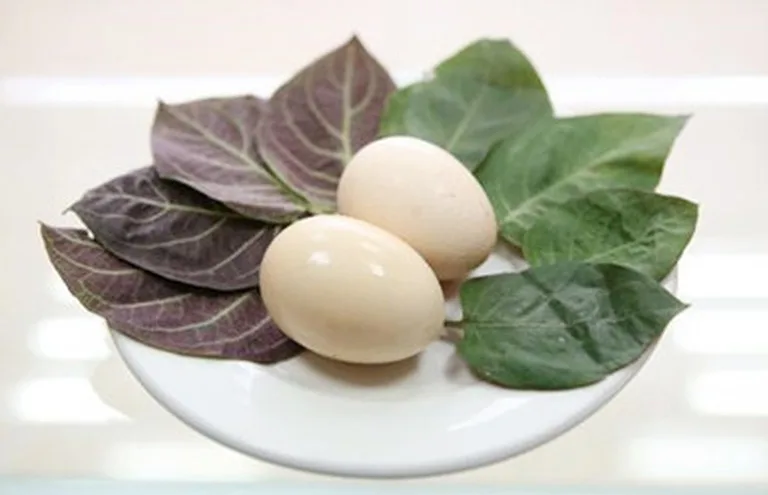 CHỮA BỆNH KIẾT LỴ