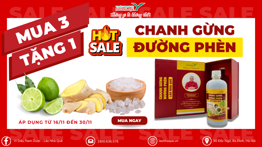 CHANH GỪNG ĐƯỜNG PHÈN – KHUYẾN MẠI GIẢM GIÁ BỆNH TIM PHỔI