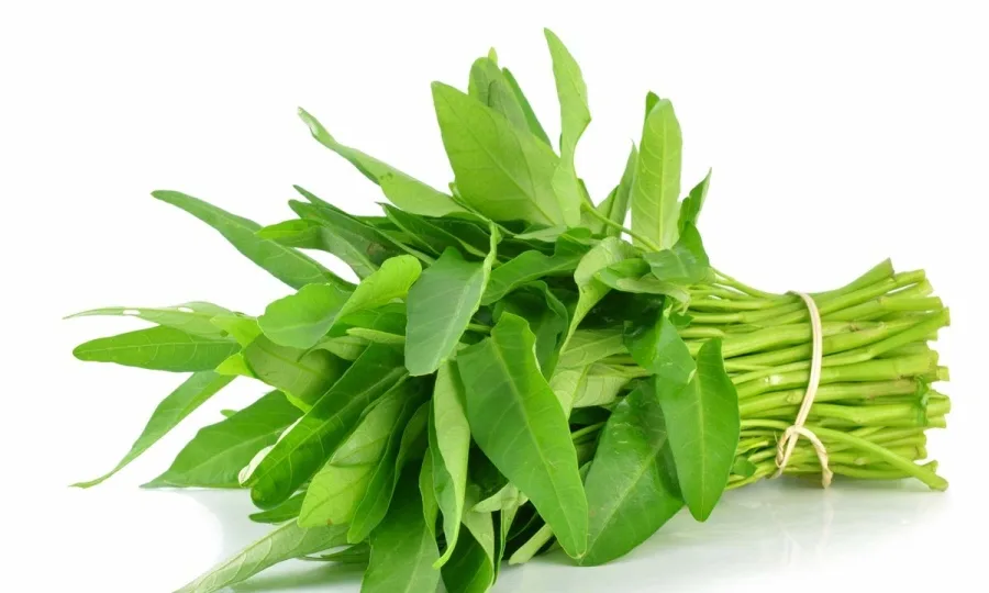 DỊ ỨNG THUỐC KHÁNG SINH, MẨN NGỨA KHÔNG RÕ NGUYÊN NHÂN