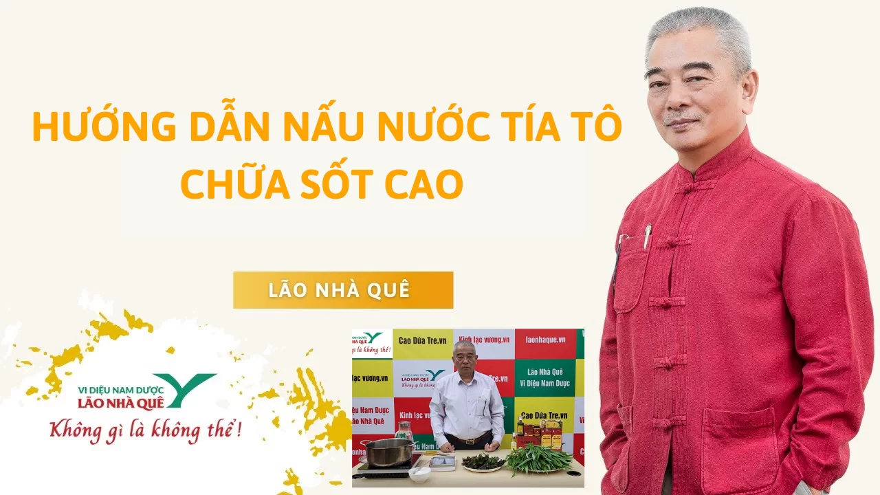 Hướng dẫn nấu nước tía tô chữa sốt cao