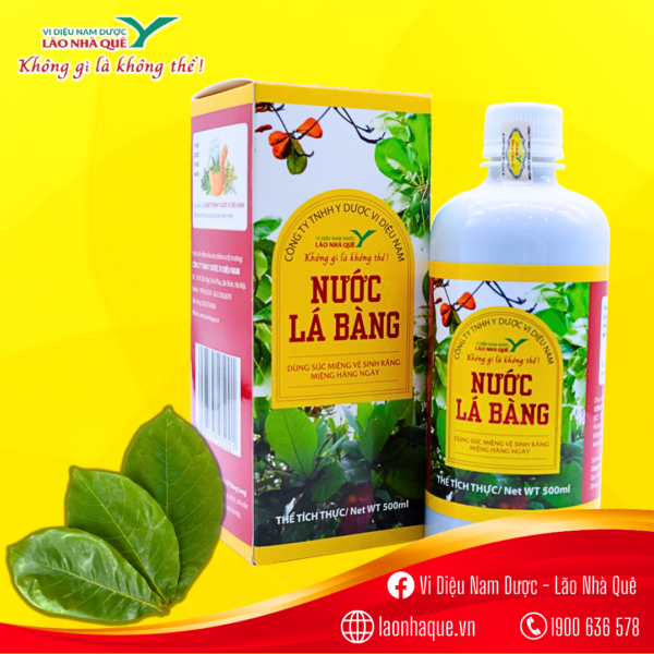nước lá bàng, lão nhà quê