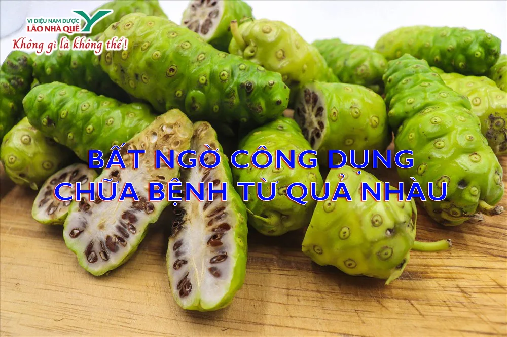 Tinh chất Nhàu Lão Nhà Quê hỗ trợ đại tràng nóng trong hiệu quả