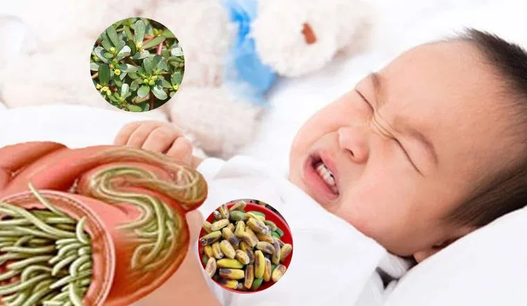 TẨY GIUN TẨY SÁN