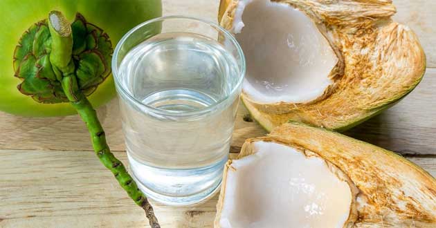 Lão dầu dừa